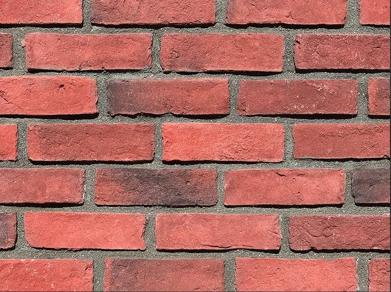 DS 010